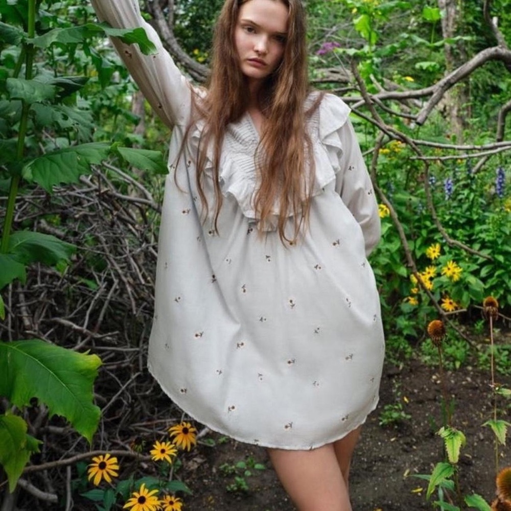 Zara S Floral Embroidered Dress